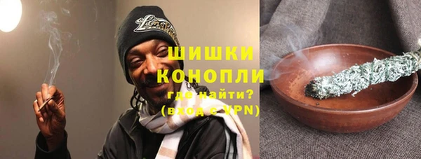 хмурый Верея