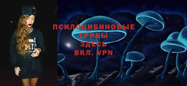 хмурый Верея