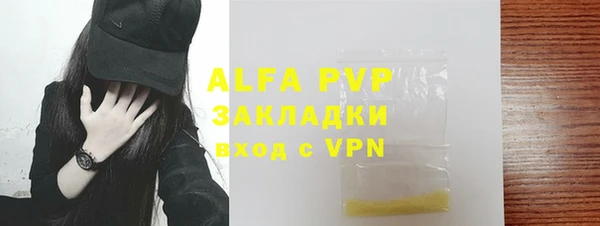 хмурый Верея