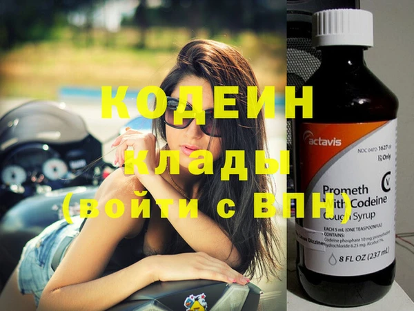 хмурый Верея