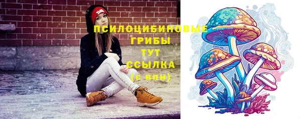 шишки Бронницы