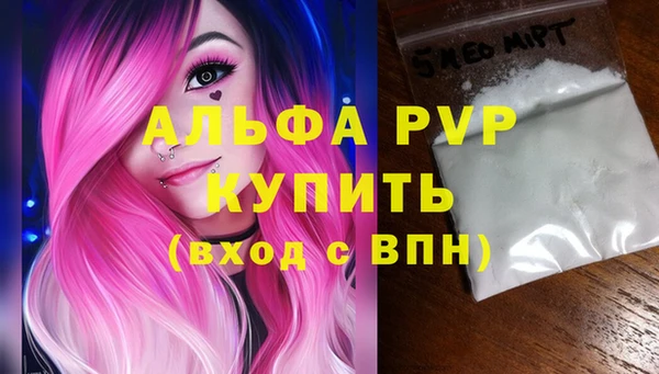 хмурый Верея