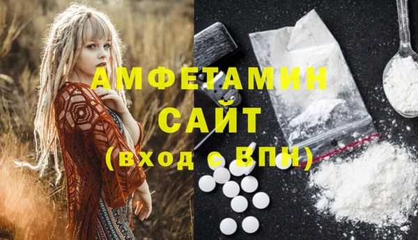 хмурый Верея