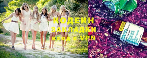 хмурый Верея