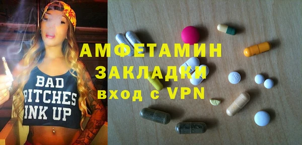 хмурый Верея