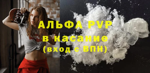 хмурый Верея