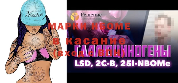 хмурый Верея