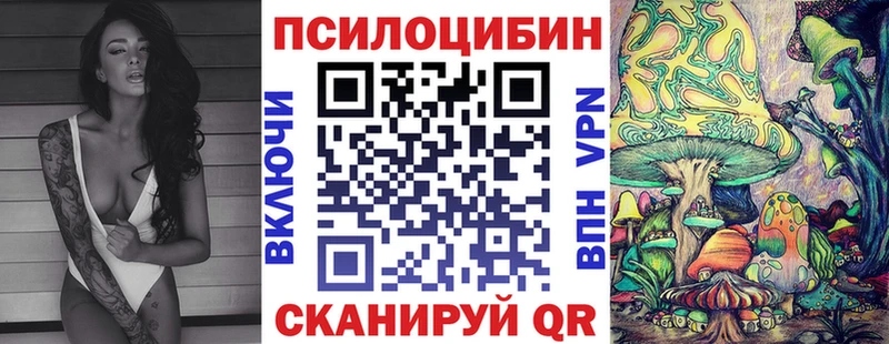 Псилоцибиновые грибы Cubensis  Купить закладки  Горячий Ключ 